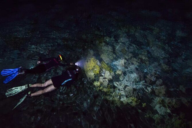 San Juan LED Night Snorkel - Meeting at Adventure Mermaid by Balneario Escambron