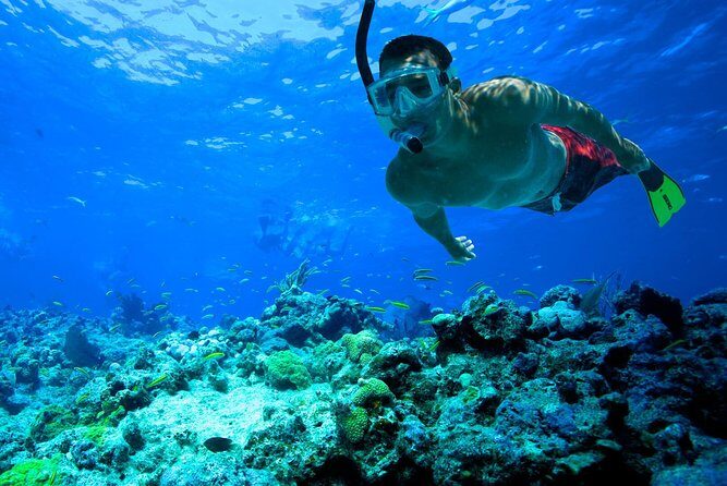 San Juan | Paddleboard | Kayak | Snorkeling | Guided Tours - Key highlights to look for