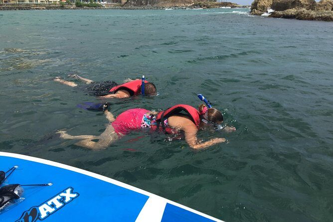 San Juan | Paddleboard | Kayak | Snorkeling | Guided Tours - Snorkeling with provided gear: Exploring underwater without the guesswork
