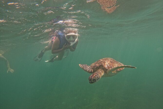 San Juan Turtle Spotting Snorkel Adventure with Videos - Meeting at Batería del Escambrón: simple logistics, real practical stuff