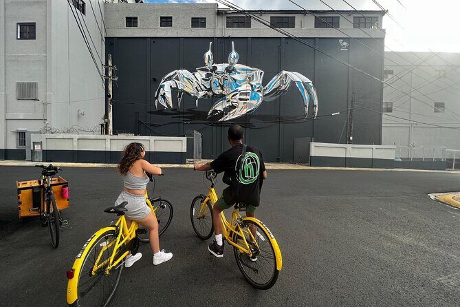 San Juan Urban Art Bike Tour 2 Hour and 4 Hour Options - San Juan Street Art by Bike: What You’re Really Getting