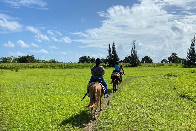 Scenic Horseback Riding Tour from San Juan - The Hacienda Campo Rico ride: lagoons, fields, and real ranch terrain