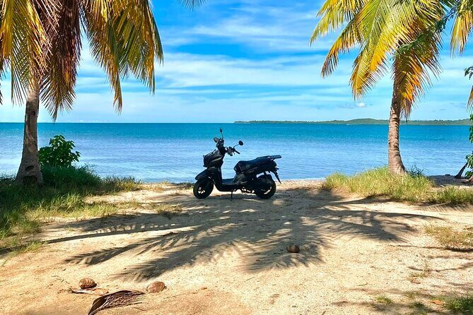 Scooter Rental San Juan Puerto Rico - Stop 7: Playa Luquillo and the Luquillo kiosks area (1.5 hours)