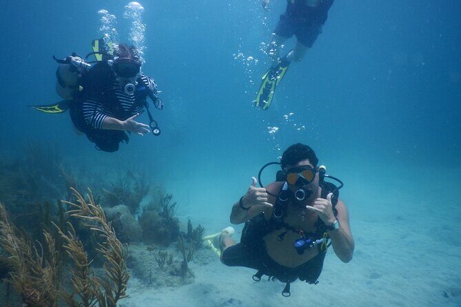 Scuba Dive and Snorkel Private Charter in Puerto Rico - Key points I’d bank on before you go