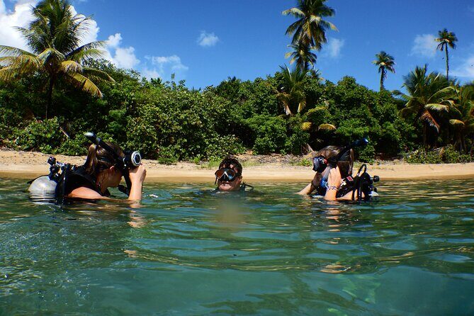 Scuba Dive and Snorkel Private Charter in Puerto Rico - Price and value: $1,500 for up to 6 (not per person)
