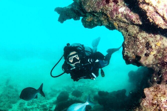 Scuba Tour for Certified Divers in San Juan - Your 2.5-Hour Plan at Scuba Dogs (and What Happens When)