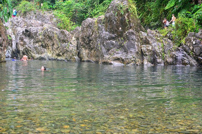 Small-Group El Yunque Rainforest Vivid Day Tour with Transport - The Guides Matter: Personal, Energetic, and Safety-Minded