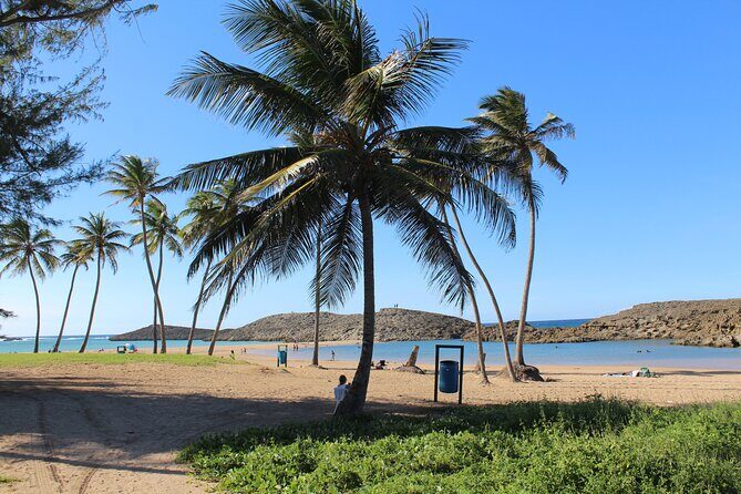 Small-Group North Coast Beach Hopping Adventure in Puerto Rico - Puerto Nuevo Beach: rock formations that tame the northern swells