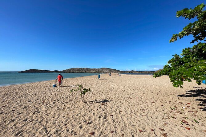 Small-Group North Coast Beach Hopping Adventure in Puerto Rico - Small-group transfers and the comfort factor that actually matters