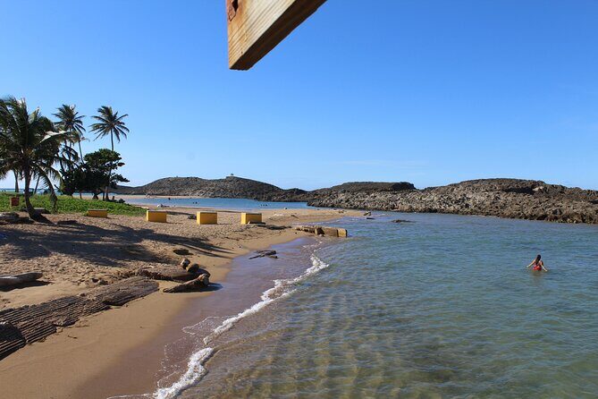 Small-Group North Coast Beach Hopping Adventure in Puerto Rico - Who this tour suits best
