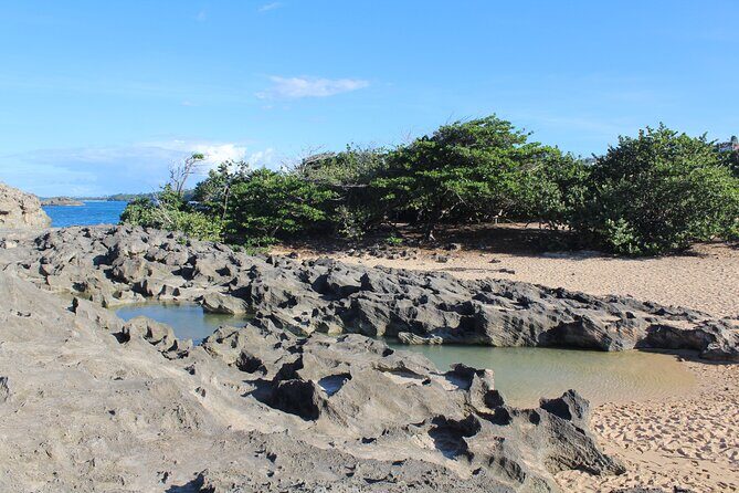 Small-Group North Coast Beach Hopping Adventure in Puerto Rico - Vega Baja chinchorreo: 45 minutes of local snacks and sips