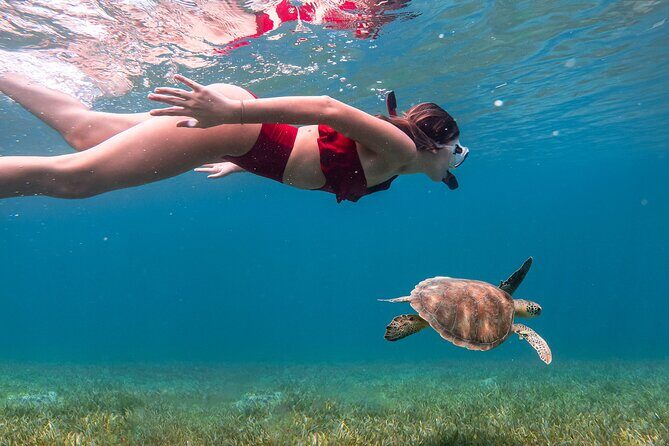 Snorkel, Swim & Snap-w/ Video - Escambron Beach snorkeling: how the water time works