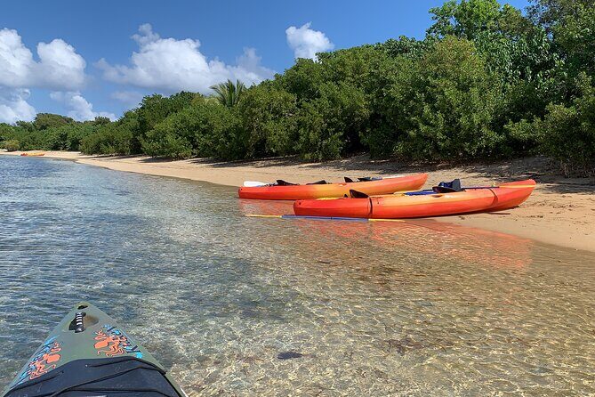 Snorkeling & Kayak Eco-Adventure in Puerto Rico - From Pirate Snorkeling Shack to the water: your 10:00 am start