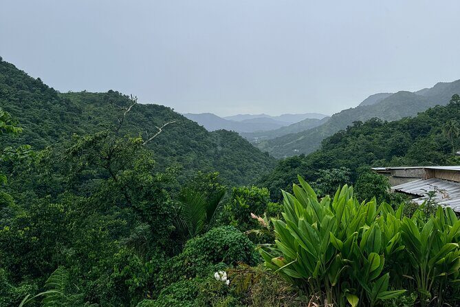 Sueños de Cafe - A Coffee Lovers Dream - Jayuya’s coffee country: why this day feels different
