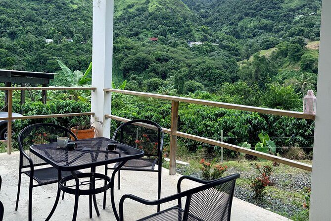 Sueños de Cafe - A Coffee Lovers Dream - Guide energy: what made the day feel welcoming