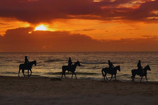 Sunset Horseback Ride by the Beach in Aguadilla, Puerto Rico - Key things to know before you saddle up