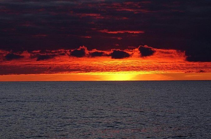 Sunset Snorkeling - What you’ll see: animals and colors that show up after sunset