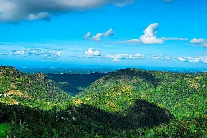 The Beast Zipline at Toroverde Adventure Park in Puerto Rico - After the zipline: the walk, the shuttle pickup, and a coffee break