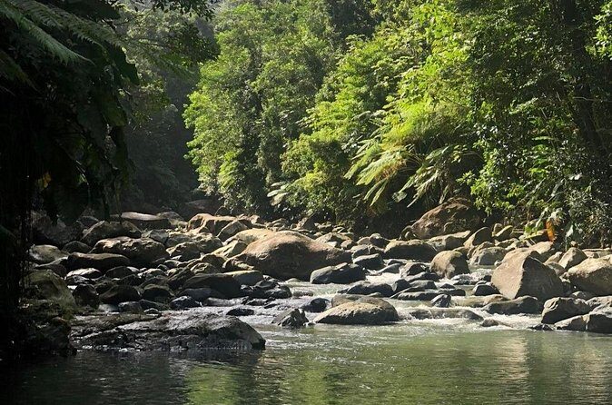 The Best Rainforest Experience in Puerto Rico - What’s Included, What You Must Bring, and How to Stay Comfortable