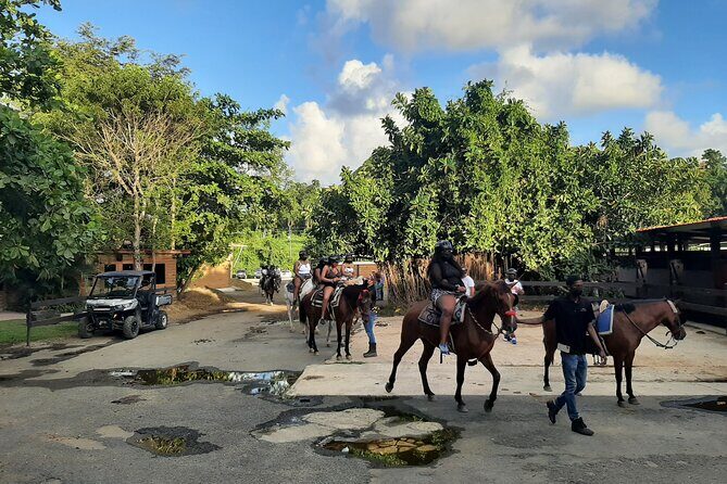 Transfer from San Juan to Dorado or Dorado to San Juan - Small Tradeoffs to Keep in Mind
