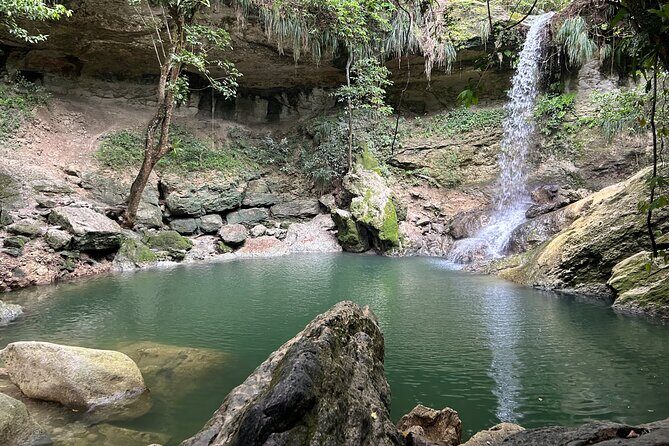 Tropical Rainforest Luxury Experiences - A full day from Isla Verde: waterfalls, sugar museum, and coffee