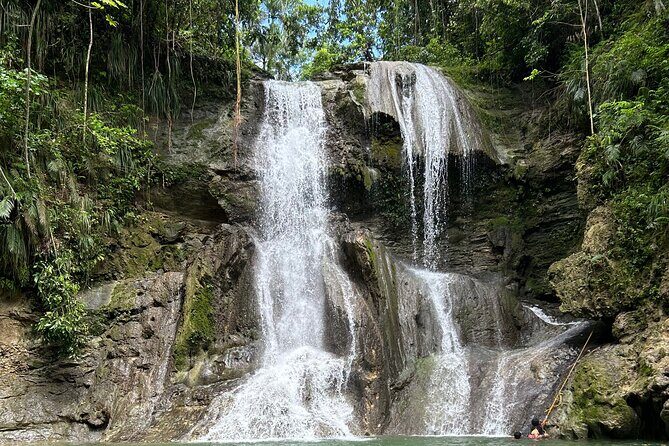 Tropical Rainforest Luxury Experiences - Getting moving with pickup and a 2024 AC vehicle