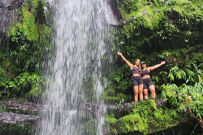 Tropical Rainforest Wonders Full Day Experience from San Juan - Toro Negro State Forest drive: the scenery is the payoff between the stops