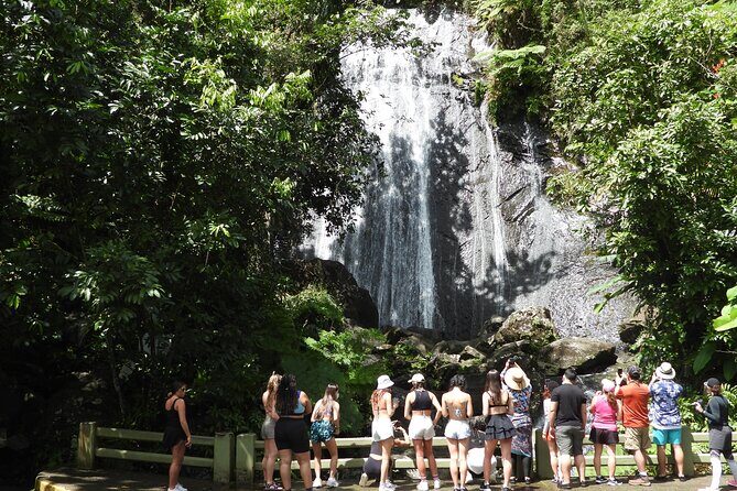 USDA El Yunque National Forest and Luquillo Beach Tour - Quick hits before you go
