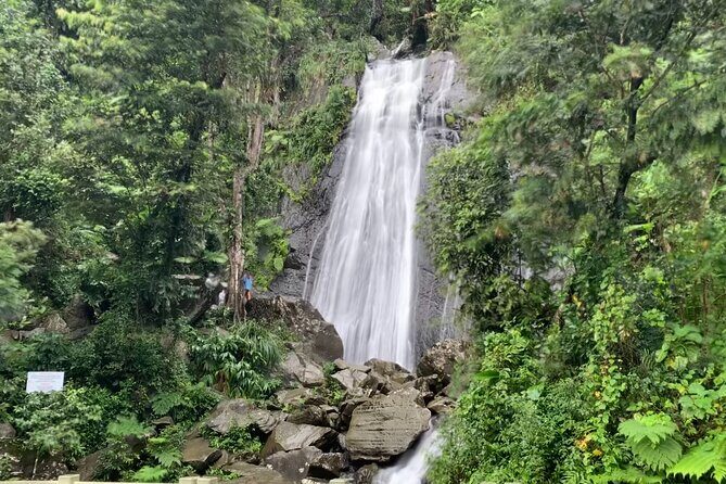 USDA El Yunque National Forest and Luquillo Beach Tour - San Juan to El Yunque and Luquillo: why this tour works