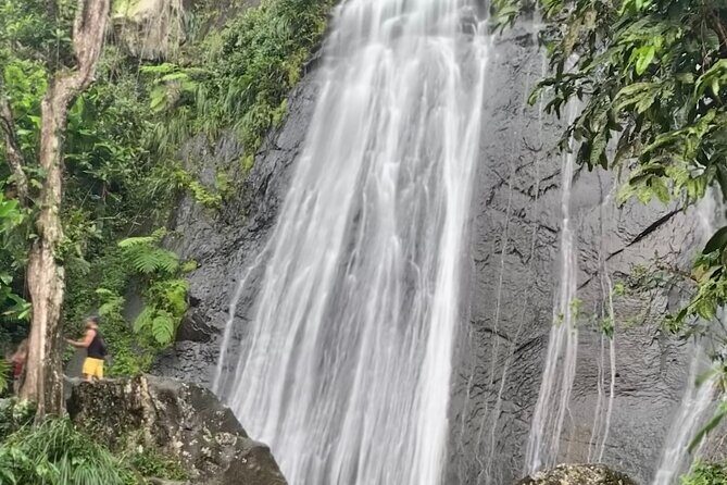 USDA El Yunque National Forest and Luquillo Beach Tour - Stop 1: Catarata La Coca waterfall (the big wow moment)
