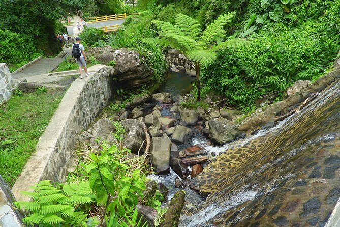 USDA El Yunque National Forest and Luquillo Beach Tour - Guides and group energy: the biggest difference-maker