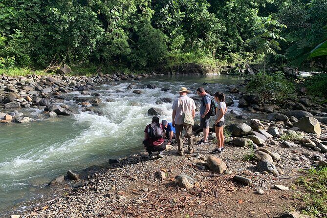 USDA El Yunque National Forest and Luquillo Beach Tour - Getting picked up and what the first part of the day feels like