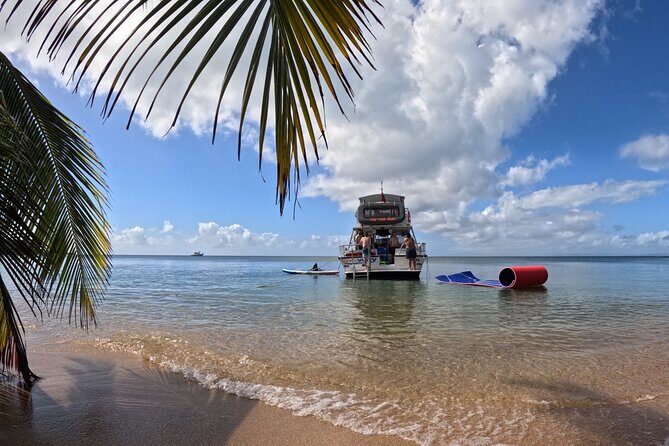 Vieques All-Inclusive: Swim with Turtles & Enjoy Pristine Beaches - Key Takeaways Before You Go