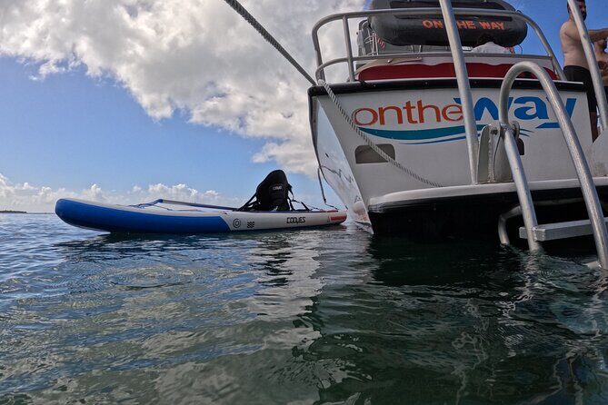 Vieques All-Inclusive: Swim with Turtles & Enjoy Pristine Beaches - Leaving Fajardo at 7:45 for a 6-Hour Island Reset