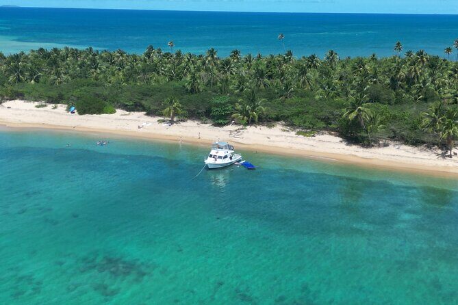Vieques All-Inclusive: Swim with Turtles & Enjoy Pristine Beaches - Lunch at Sea: Deli Buffet Food That Actually Makes Sense