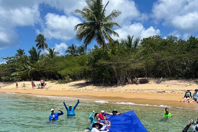Vieques All-Inclusive: Swim with Turtles & Enjoy Pristine Beaches - Beach Time on Vieques (and Sometimes a Protected Backup)