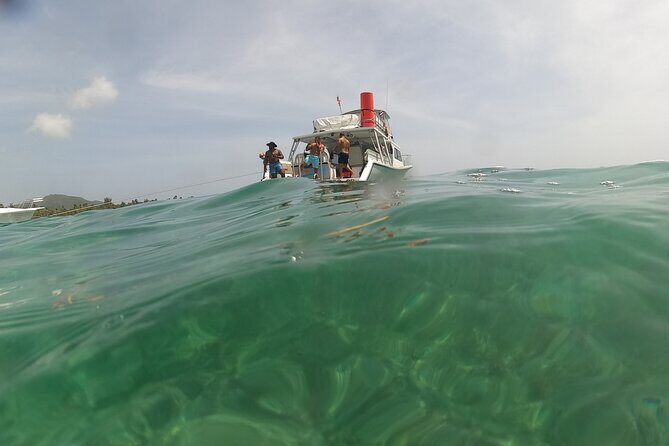 Vieques All-Inclusive: Swim with Turtles & Enjoy Pristine Beaches - Price and Value: Why $185 Works If You Use the Inclusions