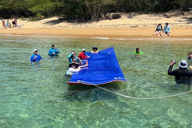 Vieques All-Inclusive: Swim with Turtles & Enjoy Pristine Beaches - What the Small Group (25 Max) Changes for Your Day