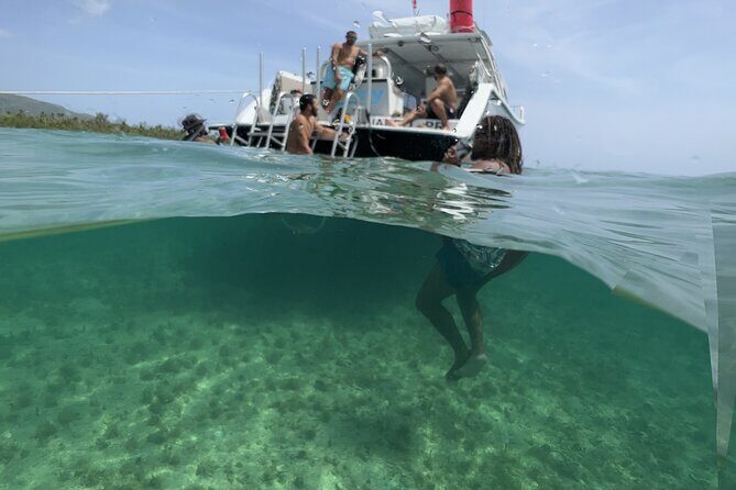 Vieques All-Inclusive: Swim with Turtles & Enjoy Pristine Beaches - Practical Fit: Who This Tour Is Best For