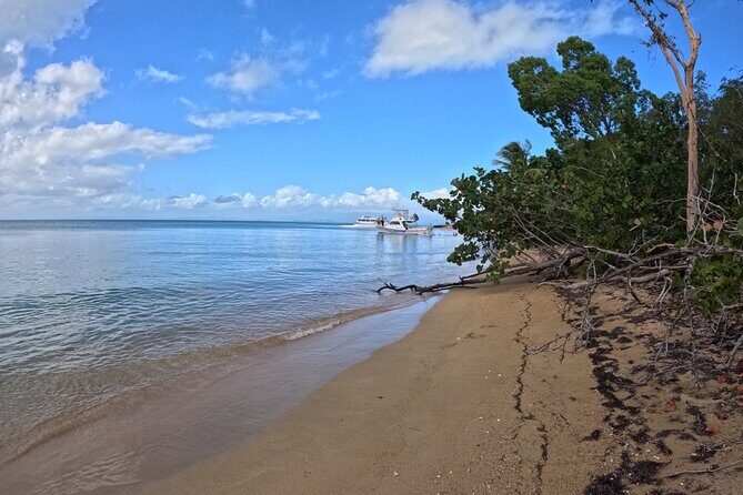 Vieques All-Inclusive: Swim with Turtles & Enjoy Pristine Beaches - Snorkeling Around Vieques: What the 1st Stop Is Really About