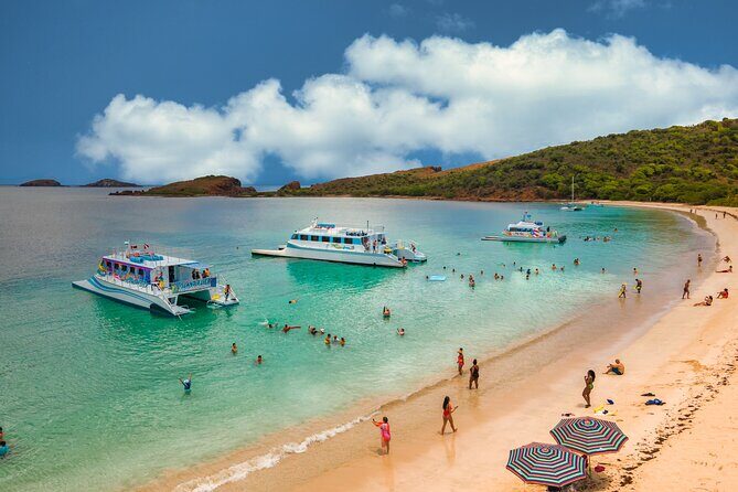 Vieques: Beach and Snorkeling Tour by Catamaran from Fajardo - Lunch and Drinks Included: Deli-Style Buffet Plus Rum and Local Beer
