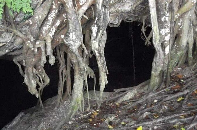 Window Cave Walking Tour from San Juan - Inside Cueva Ventana: limestone, creatures, and the “window” feeling