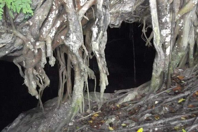 Window Cave Walking Tour from San Juan - Price and value: what you get for $127