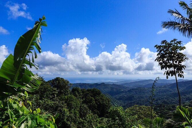 Zipline Canopy Tour with Transport from San Juan - Stairs, towers, and what to wear so you’re not miserable