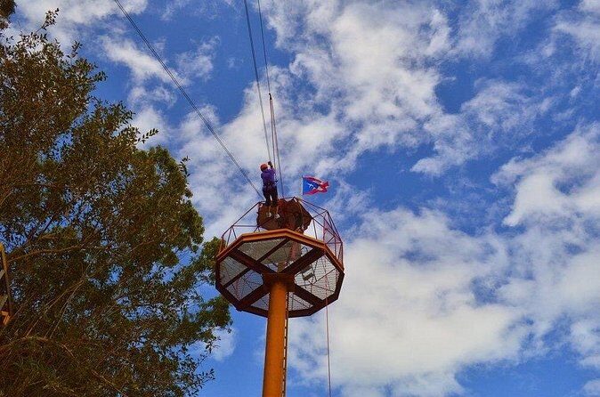 Zipline Canopy Tour with Transport from San Juan - A realistic day-by-day rhythm (what your 4 hours look like)